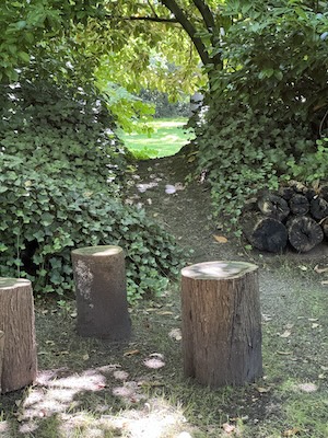 Meditatie op de Veluwe